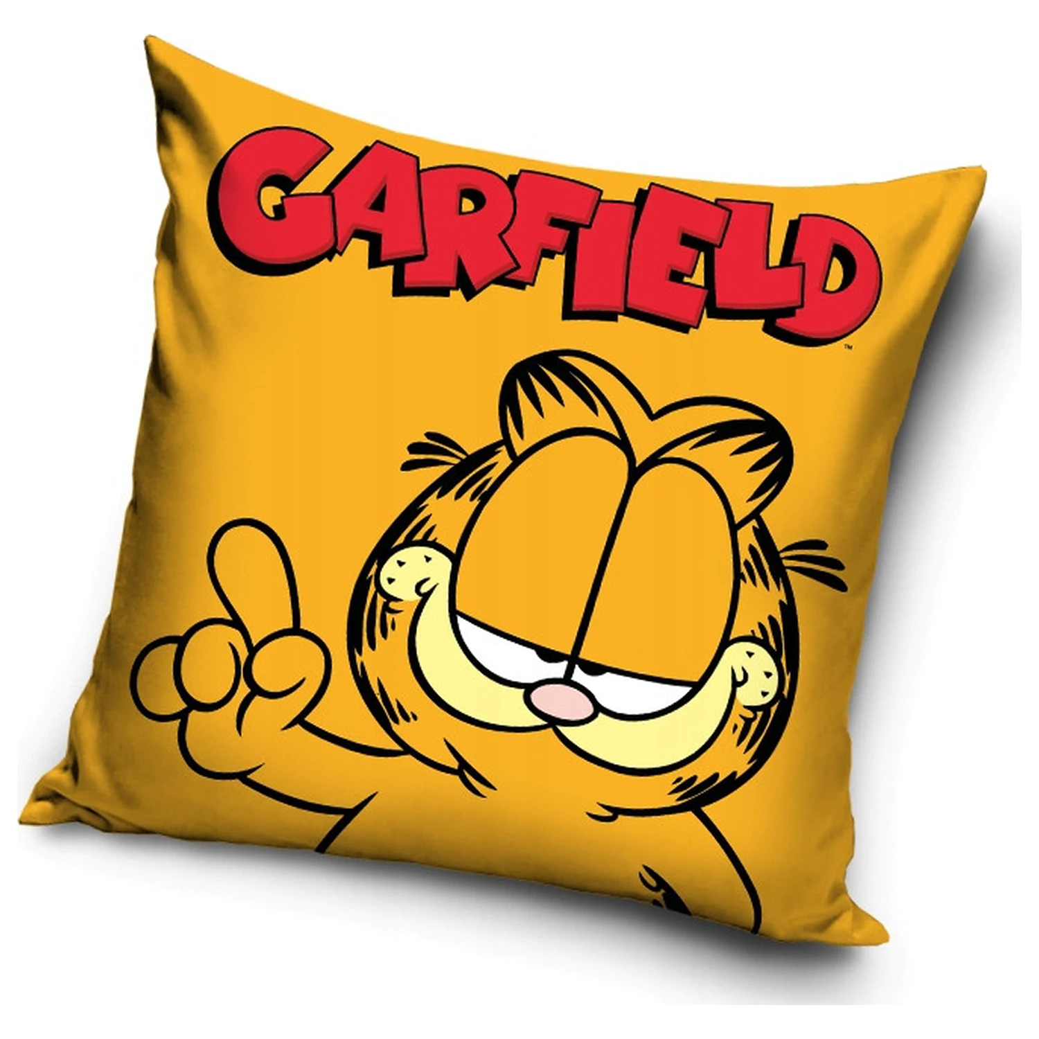 Garfield Nap párnahuzat termékfotó