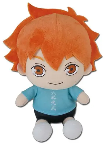 Haikyu!!Hinata Yojijukugo Season 2  plüss figura 18 cm termékfotó