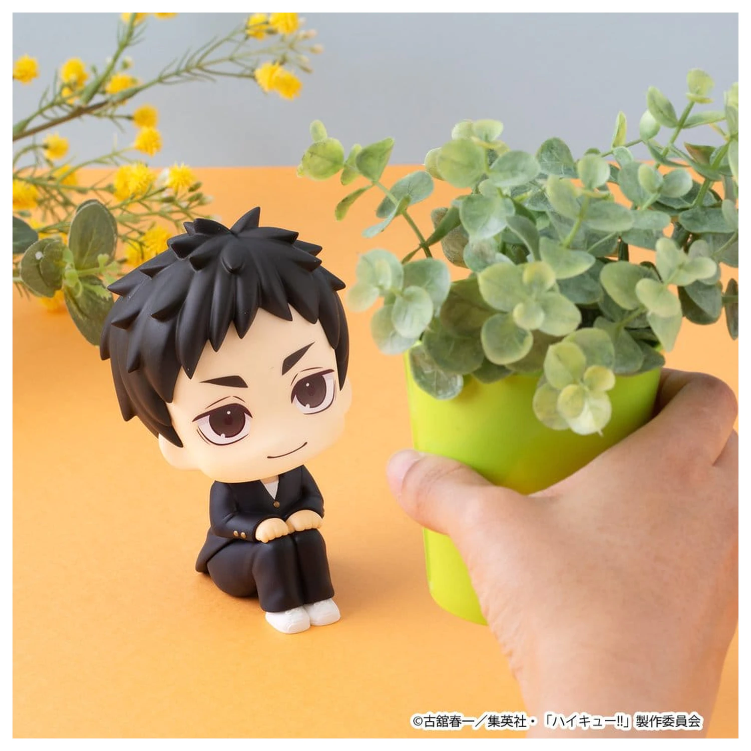 Haikyu!! Look Up 2 db-os PVC figura csomag Daichi Sawamura & Koushi Sugawara 11 cm (with gift) termékfotó