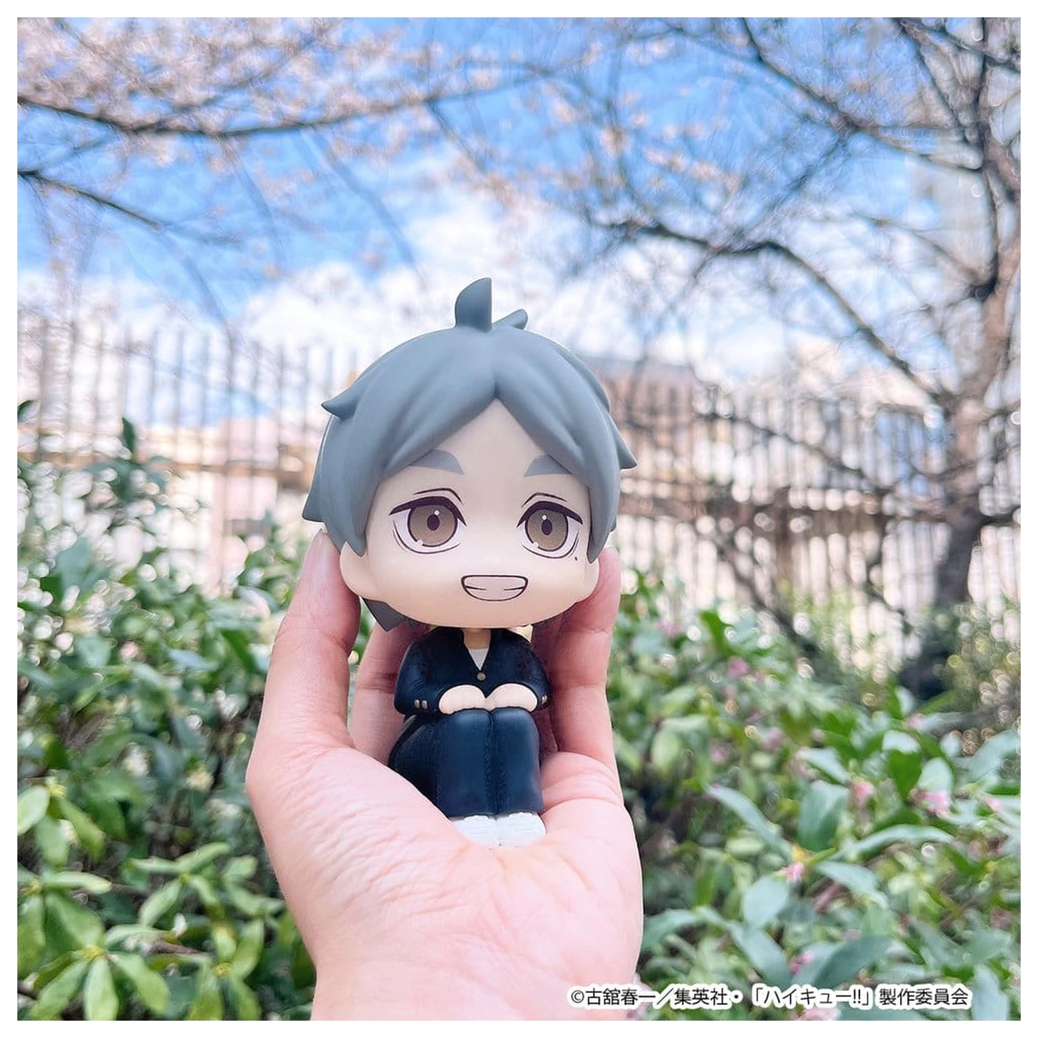 Haikyu!! Look Up 2 db-os PVC figura csomag Daichi Sawamura & Koushi Sugawara 11 cm (with gift) termékfotó