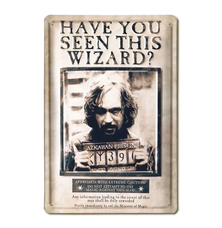 Harry Potter 3D Tin Sign Have You Seen This Wizard 20 x 30 cm termékfotó
