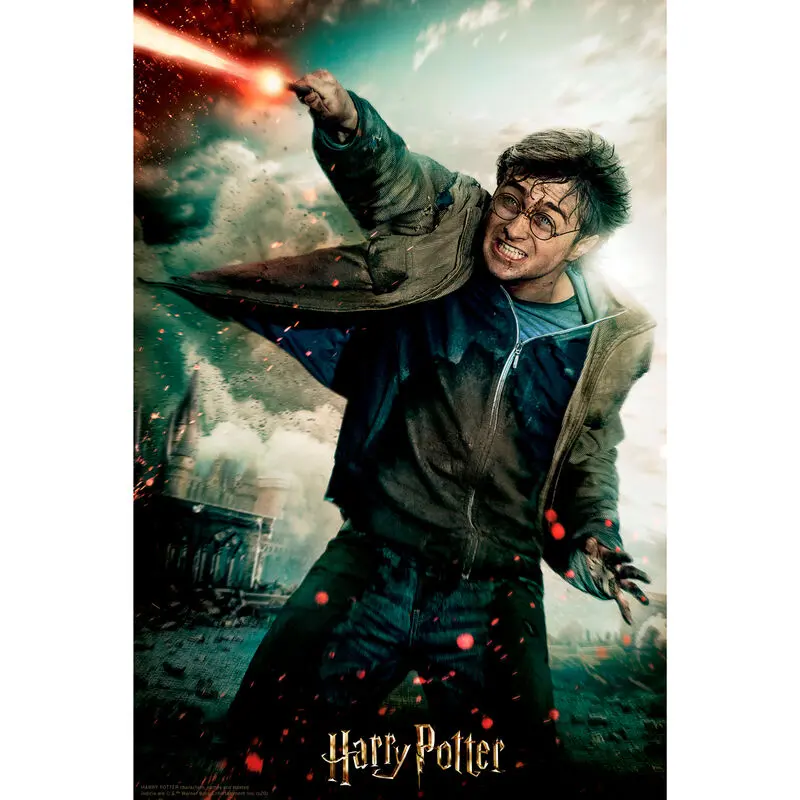 Harry Potter Battle Prime 3D puzzle 300db-os termékfotó