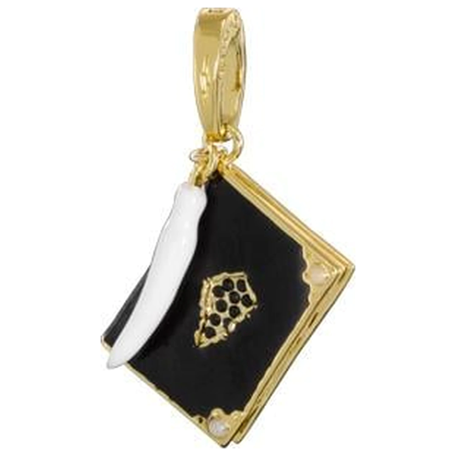 Harry Potter charm Lumos 11 Tom Riddle's Diary termékfotó