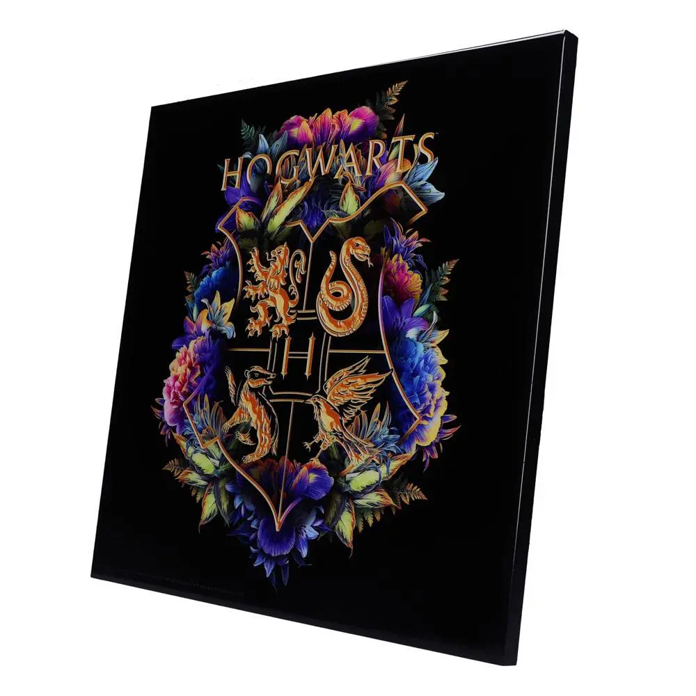 Harry Potter Crystal Clear Picture Hogwarts Fine Oddities 32 x 32 cm termékfotó