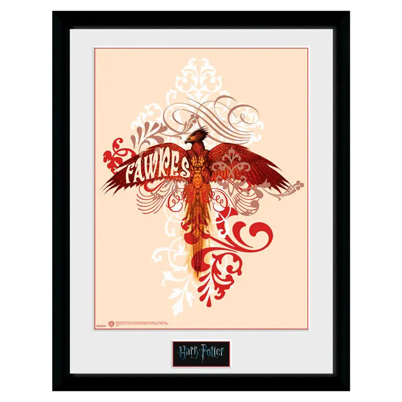 Harry Potter Fawkes bekeretezett poszter termékfotó