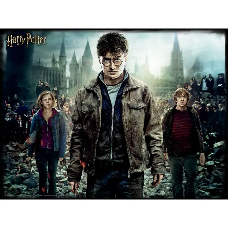 Harry Potter Harry Hermione és Ron Prime 3D puzzle 500db-os termékfotó