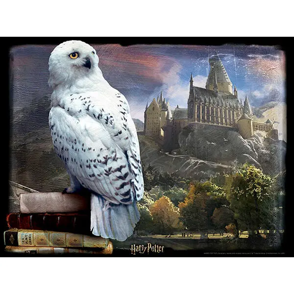 Harry Potter Hedwig Prime 3D puzzle 500db-os termékfotó