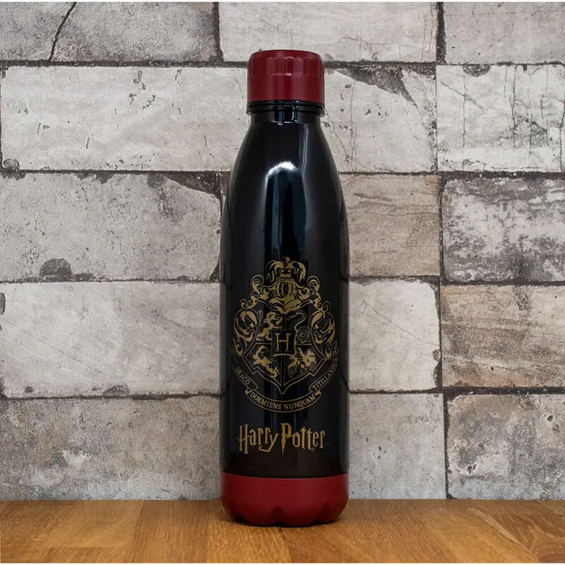 Harry Potter Hogwarts palack kulacs termékfotó