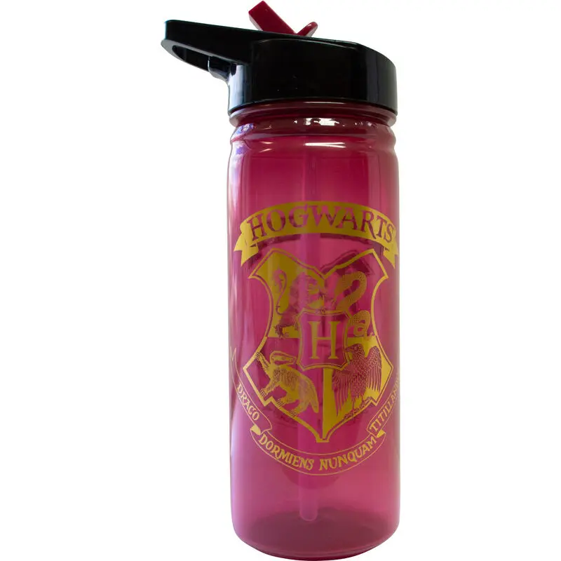 Harry Potter Hogwarts palack kulacs 600ml termékfotó