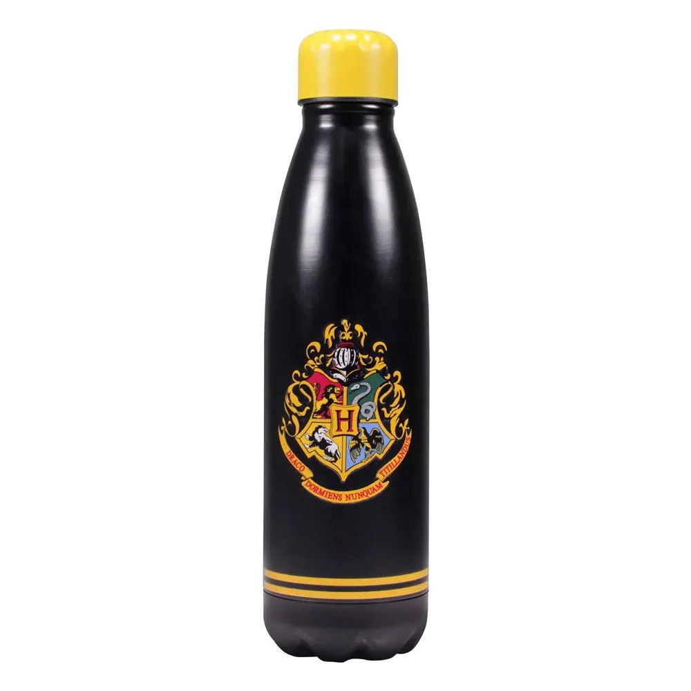 Harry Potter Hogwarts vizespalack kulacs termékfotó