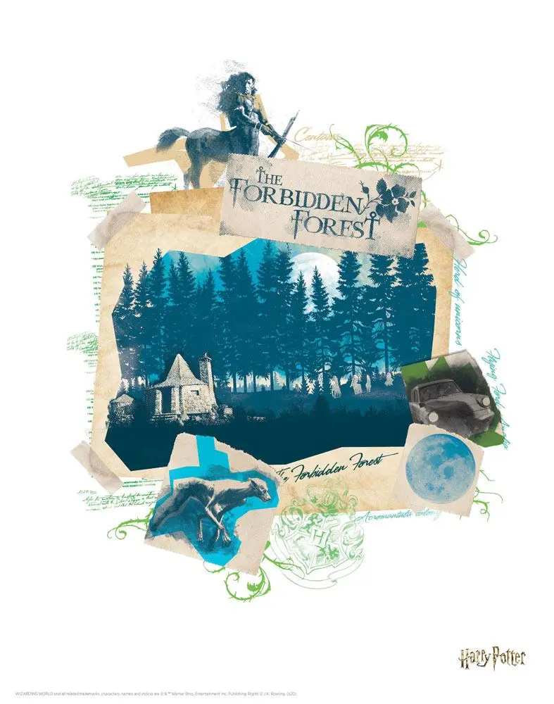 Harry Potter Lithograph 10 darabos Litográfia 36 x 28 cm termékfotó