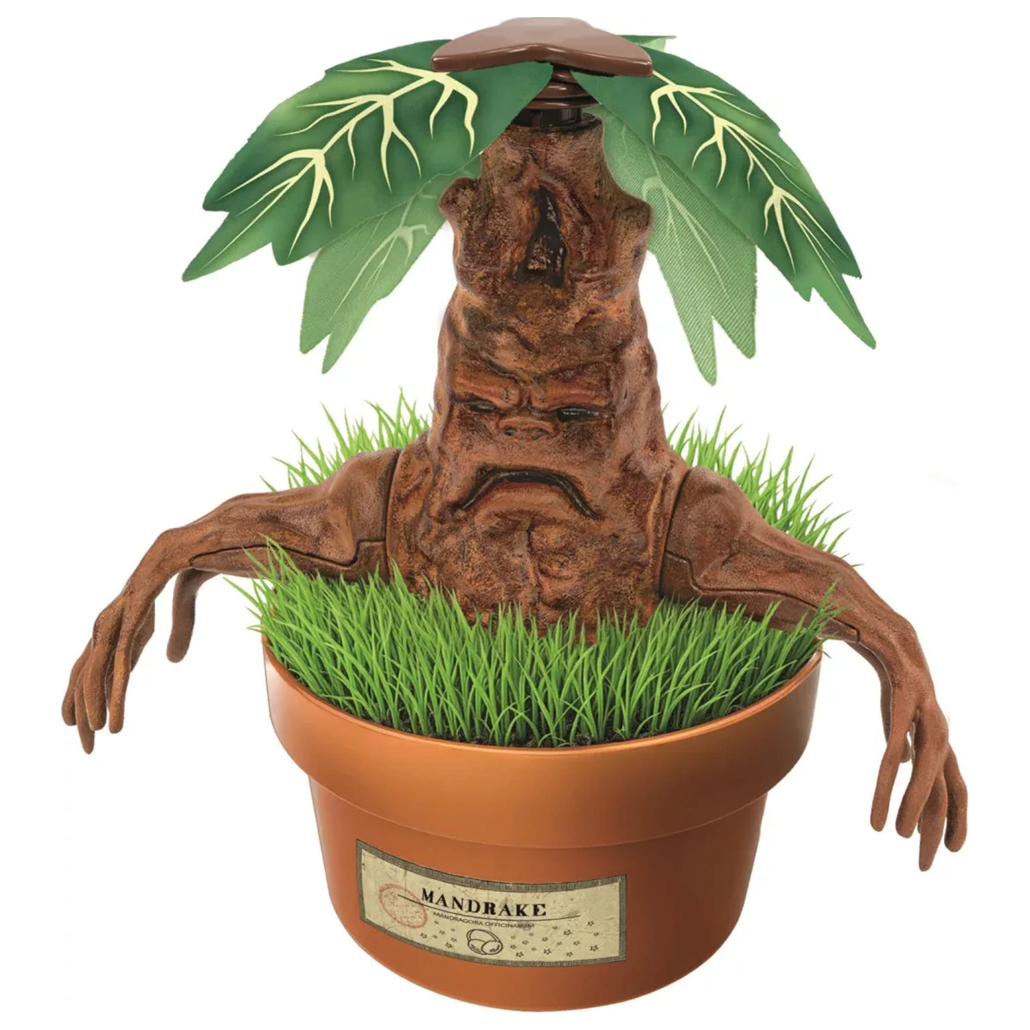 Harry Potter Mandrake modellkészítő  termékfotó