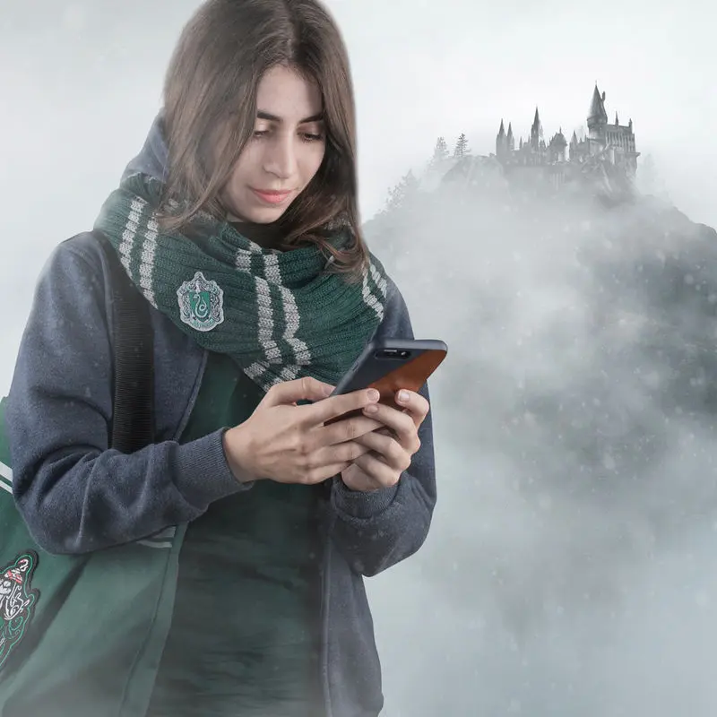Harry Potter Mardekár sál termékfotó