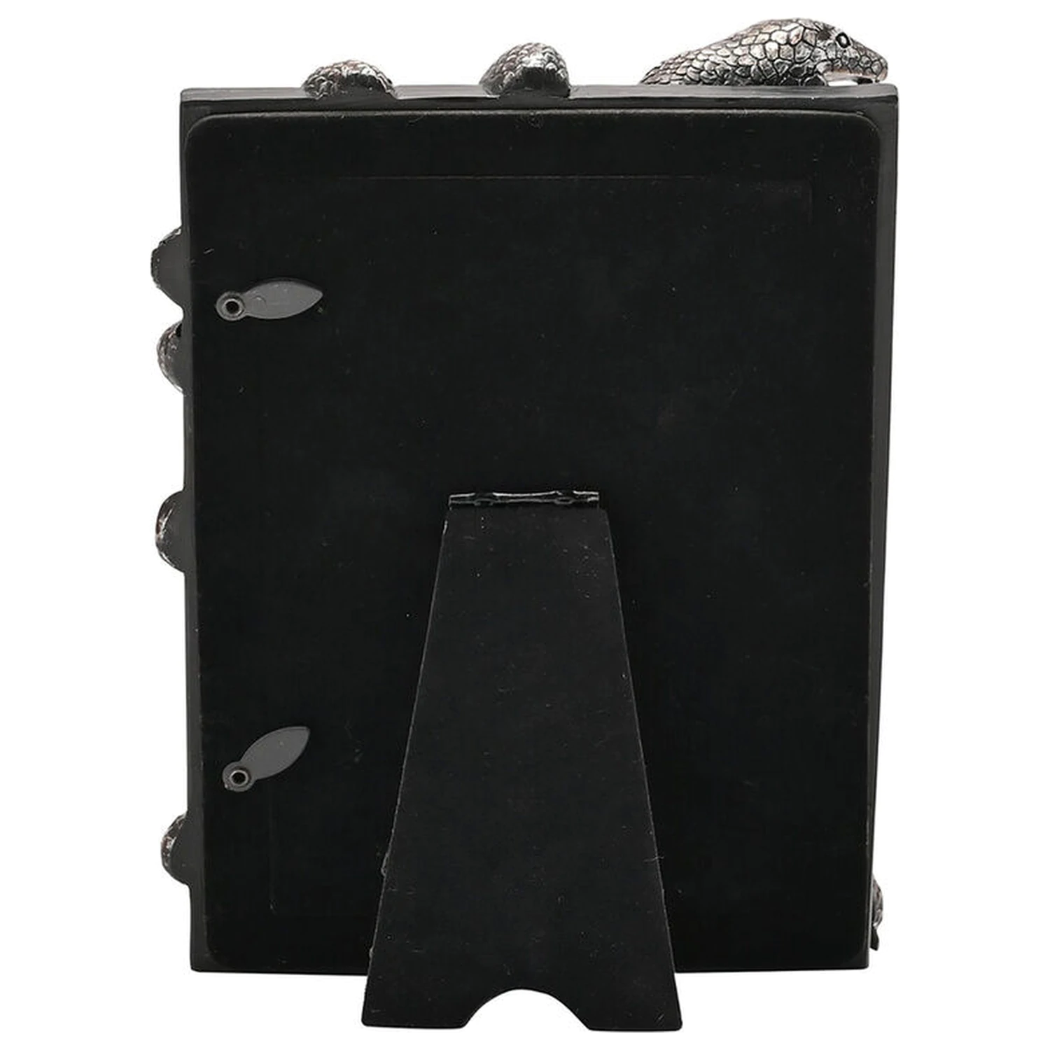 Harry Potter Nagini képkeret kiegészítő termékfotó