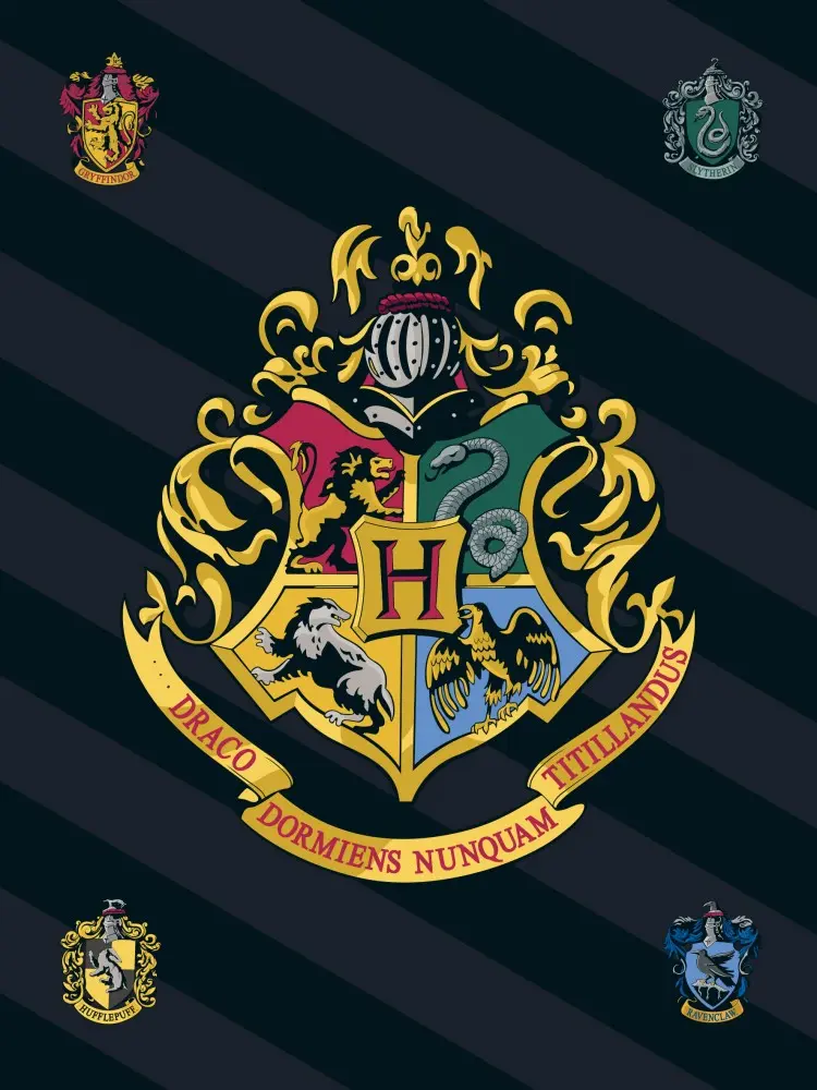 Harry Potter polár takaró 100*140cm termékfotó