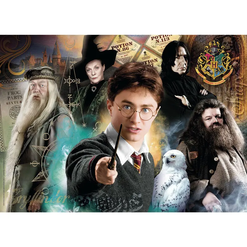 Harry Potter puzzle 500db-os termékfotó