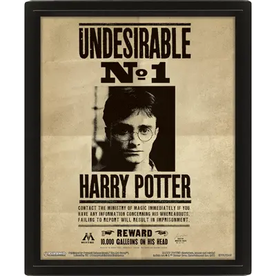 Harry Potter Sirius Black and Harry Potter lentiform 3D poster termékfotó