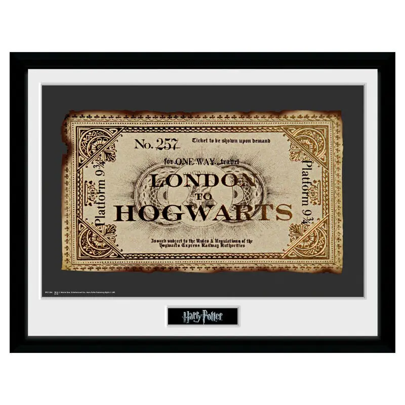 Harry Potter Ticket bekeretezett poszter termékfotó