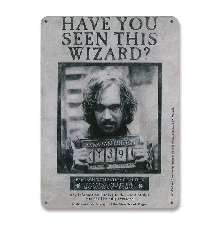 Harry Potter Have You Seen This Wizard fémtábla 15 x 21 cm termékfotó
