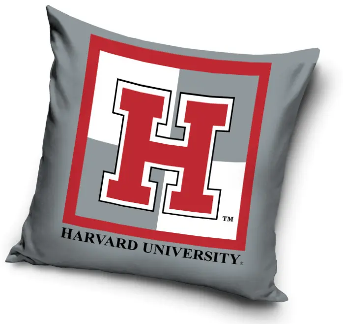 Harvard párnahuzat 40*40 cm termékfotó