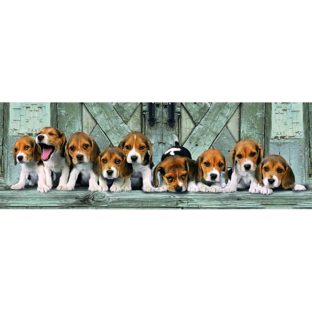 High Quality Beagles Panorama puzzle 1000db-os termékfotó