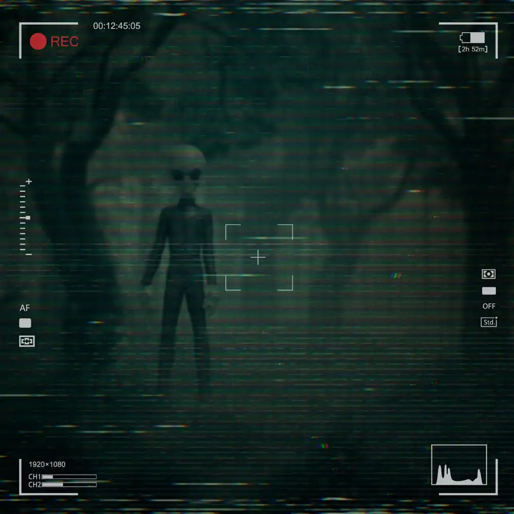 I want to Believe Art Scale 1/10 Alien Grey szobor figura 21 cm termékfotó