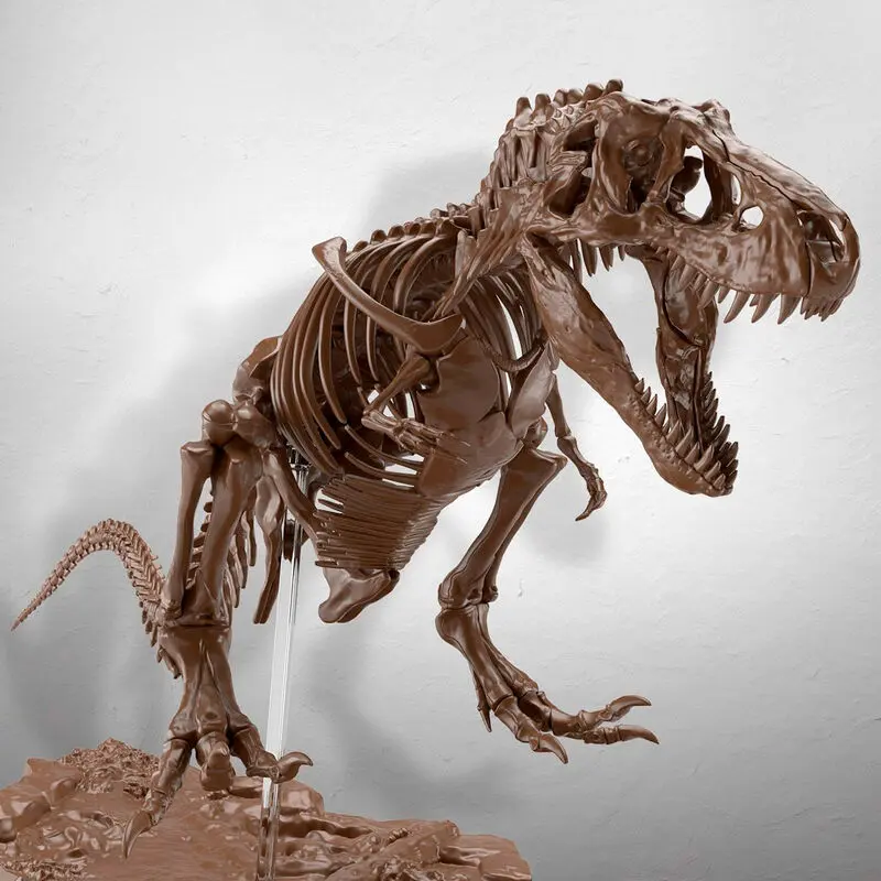 Imaginary Skeleton - Skeleton Tyrannosaurus modell készlet figura termékfotó