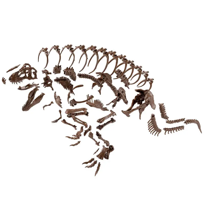 Imaginary Skeleton - Skeleton Tyrannosaurus modell készlet figura termékfotó