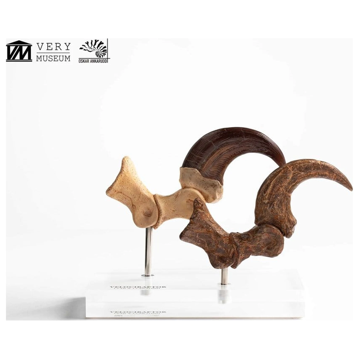 Jurassic Park ECC Elite Creature Line Velociraptor Foot Claw and Fossil Claw Set szobor figura 20 cm termékfotó