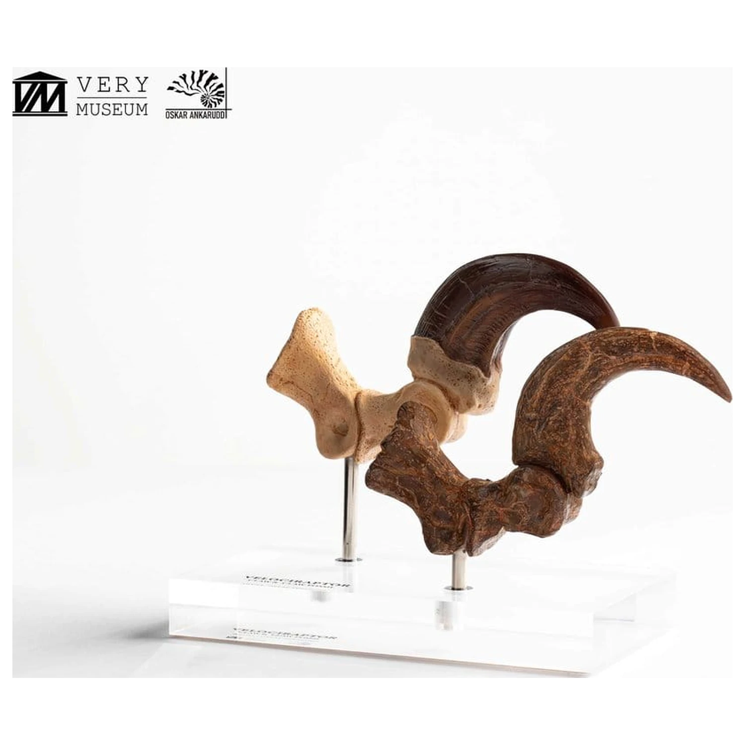 Jurassic Park ECC Elite Creature Line Velociraptor Foot Claw and Fossil Claw Set szobor figura 20 cm termékfotó