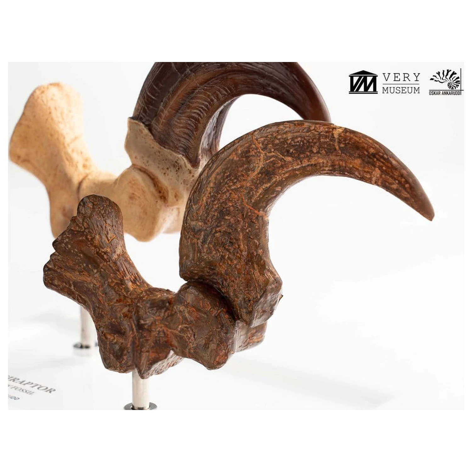 Jurassic Park ECC Elite Creature Line Velociraptor Foot Claw and Fossil Claw Set szobor figura 20 cm termékfotó