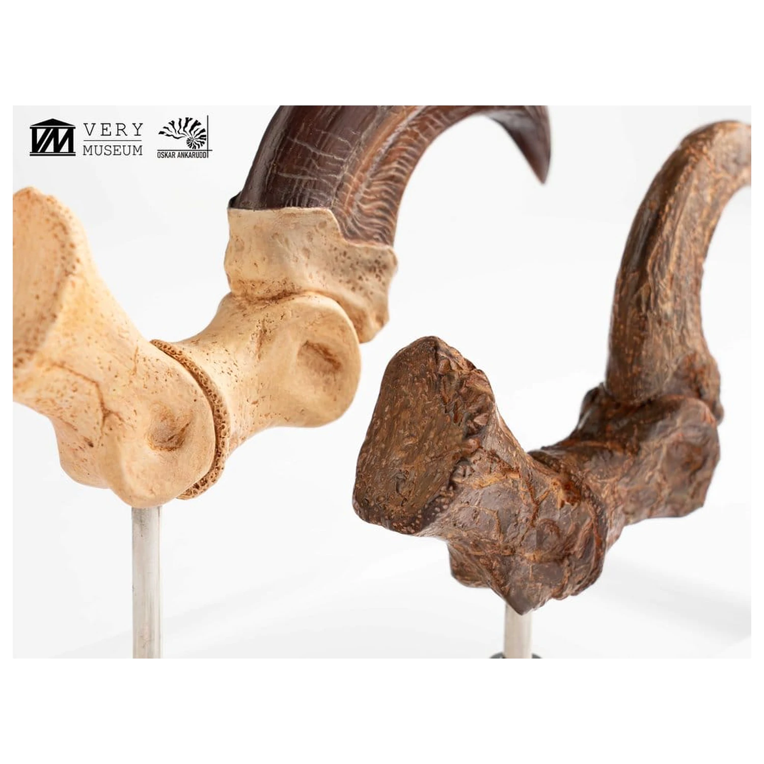 Jurassic Park ECC Elite Creature Line Velociraptor Foot Claw and Fossil Claw Set szobor figura 20 cm termékfotó