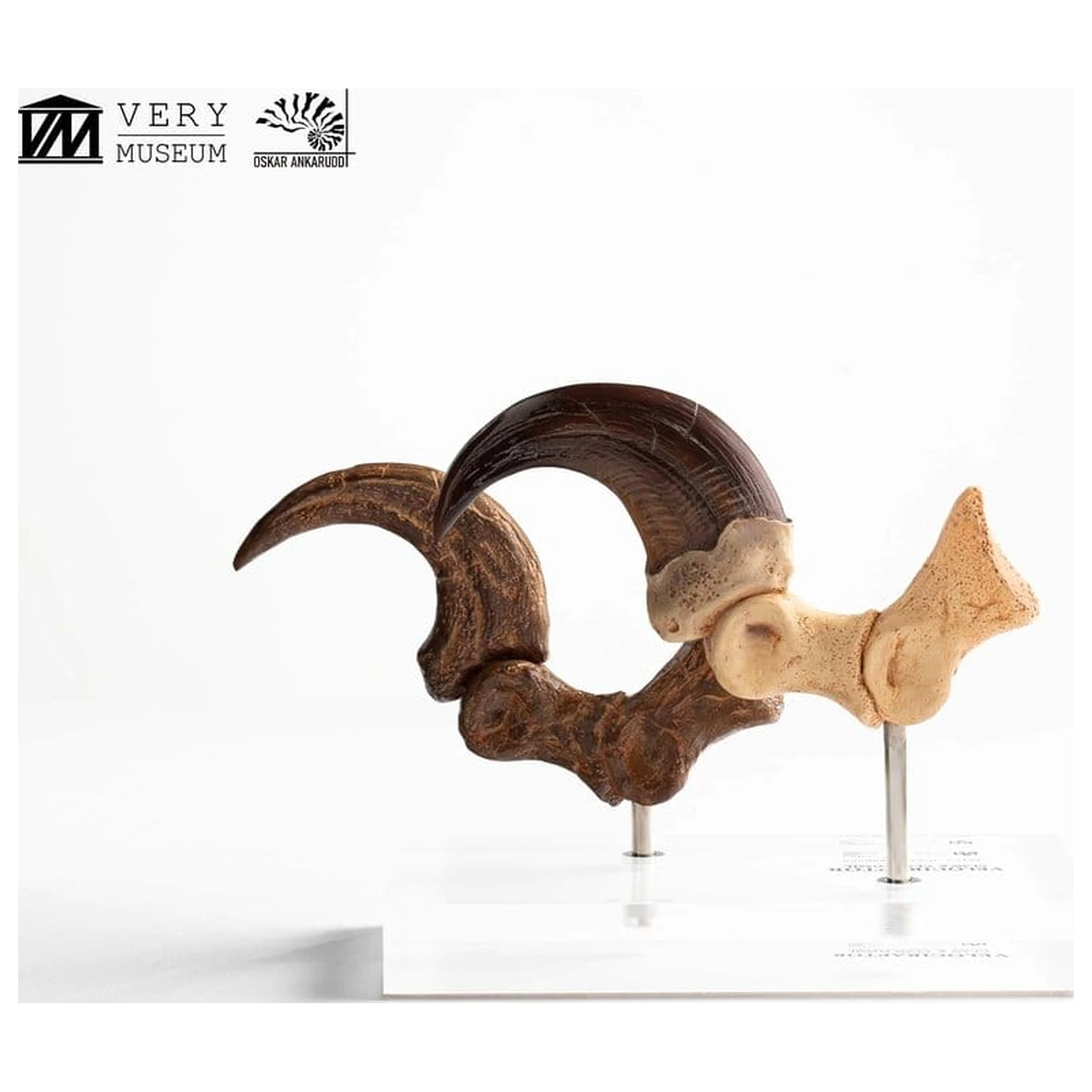 Jurassic Park ECC Elite Creature Line Velociraptor Foot Claw and Fossil Claw Set szobor figura 20 cm termékfotó