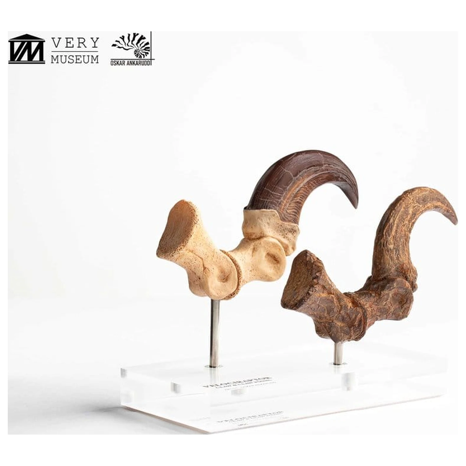 Jurassic Park ECC Elite Creature Line Velociraptor Foot Claw and Fossil Claw Set szobor figura 20 cm termékfotó