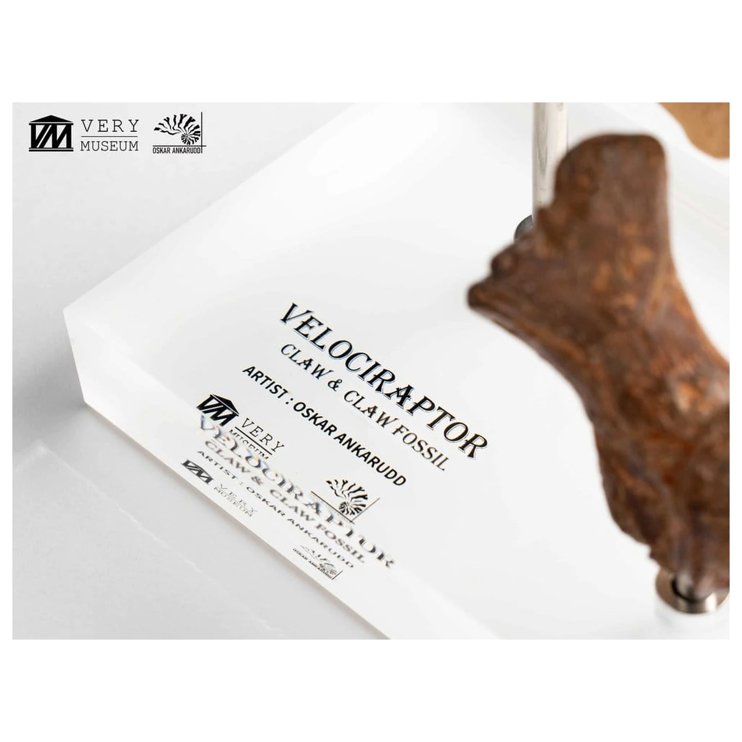 Jurassic Park ECC Elite Creature Line Velociraptor Foot Claw and Fossil Claw Set szobor figura 20 cm termékfotó