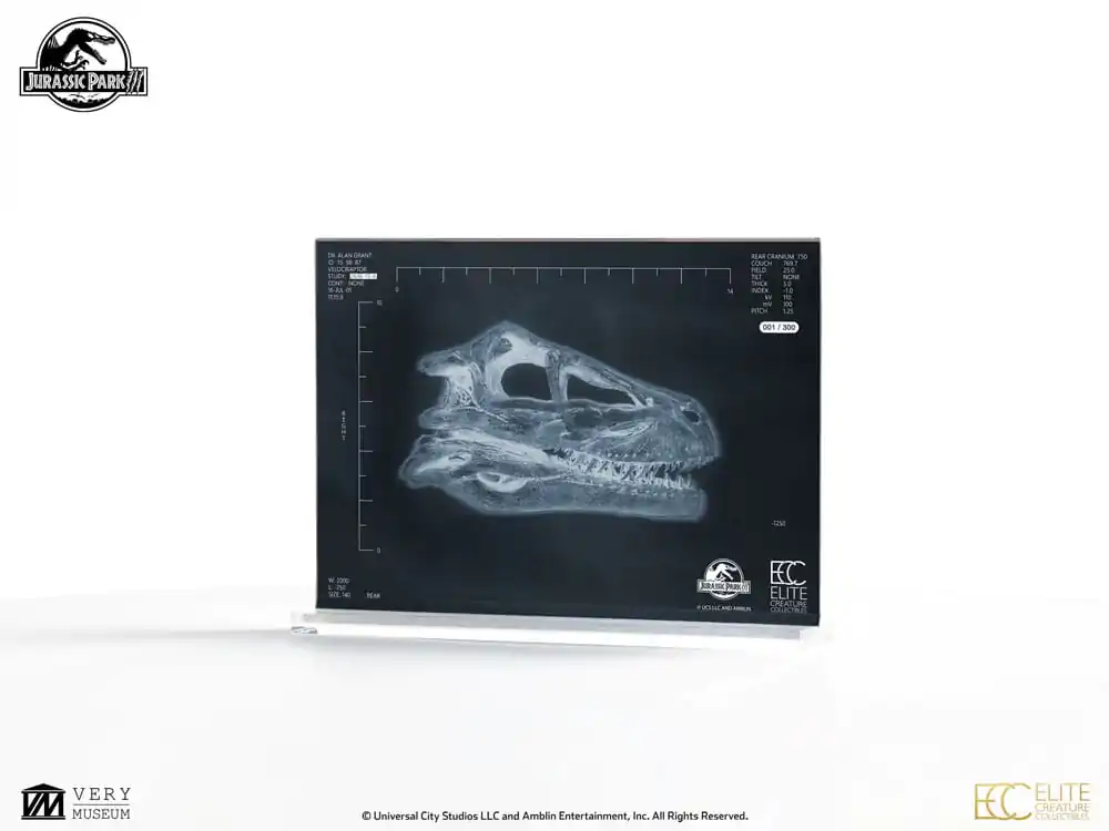 Jurassic Park III 1/1 Velociraptor Resonance Chamber Prop replika 18 cm termékfotó
