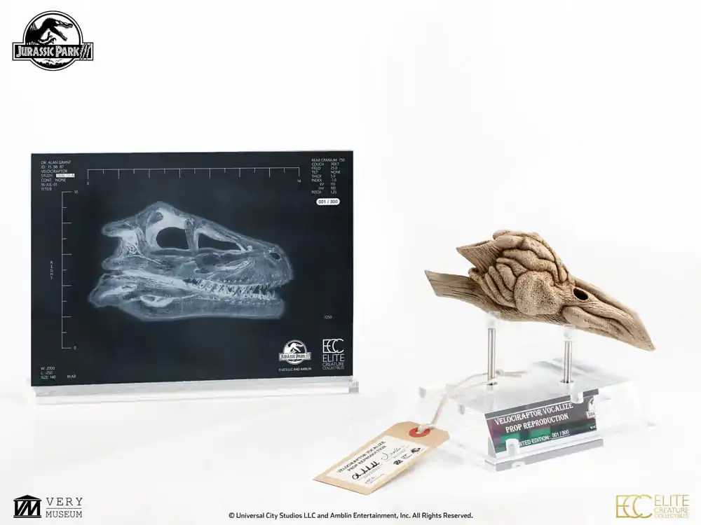 Jurassic Park III 1/1 Velociraptor Resonance Chamber Prop replika 18 cm termékfotó