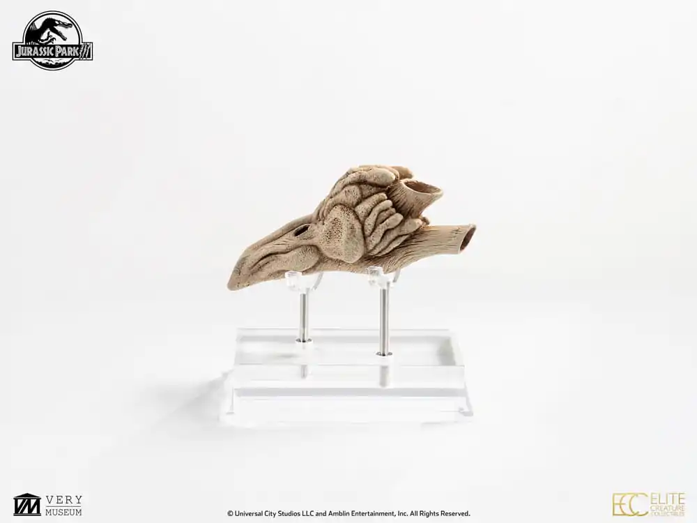 Jurassic Park III 1/1 Velociraptor Resonance Chamber Prop replika 18 cm termékfotó