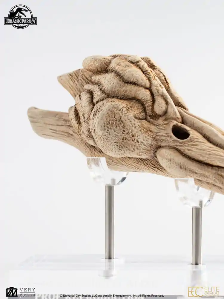 Jurassic Park III 1/1 Velociraptor Resonance Chamber Prop replika 18 cm termékfotó