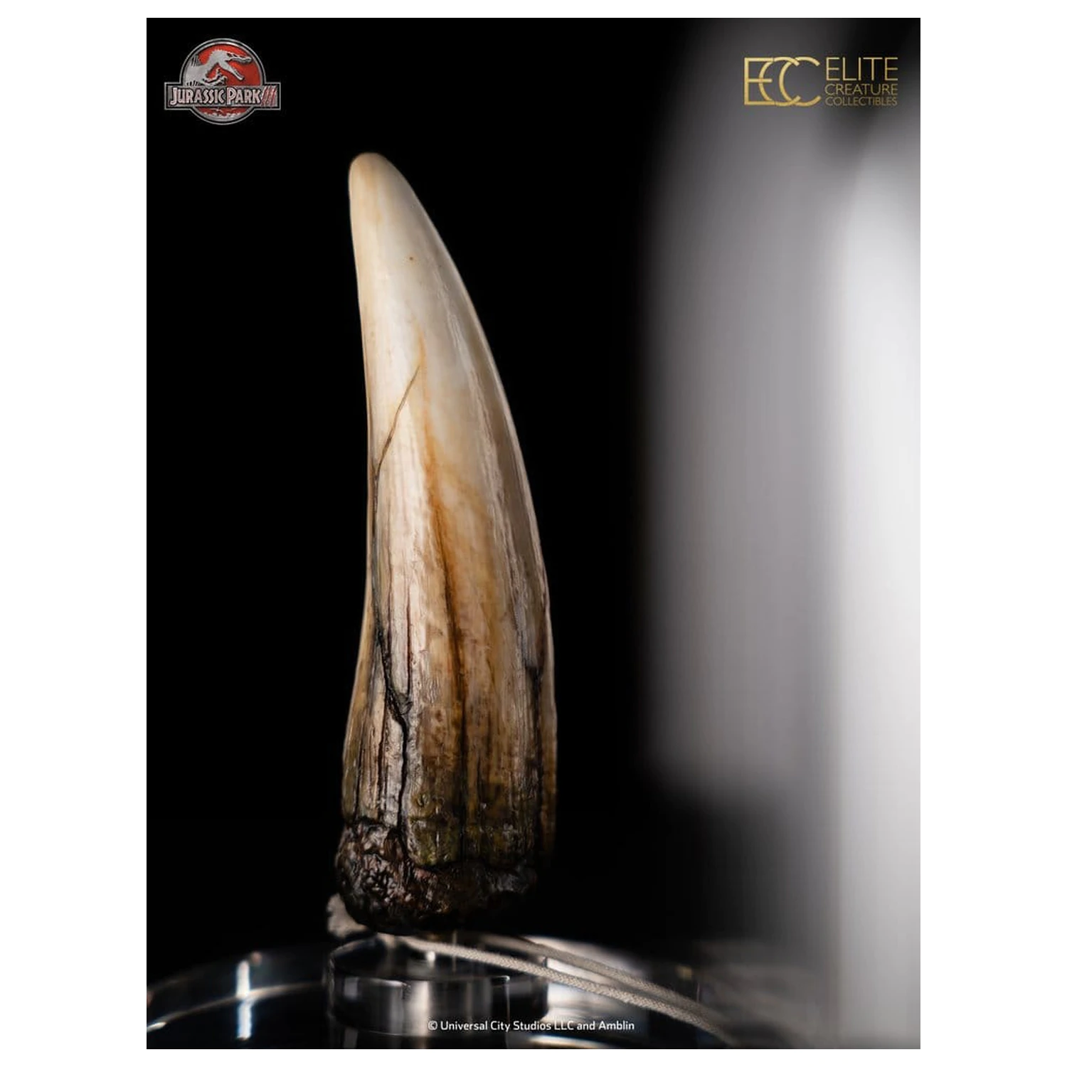 Jurassic Park III Prop replika 1/1 Spinosaurus Tooth 14 cm termékfotó