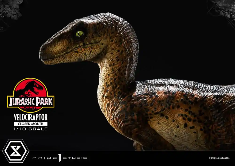 Jurassic Park Prime Collectibles 1/10 Velociraptor Closed Mouth szobor figura 19 cm termékfotó