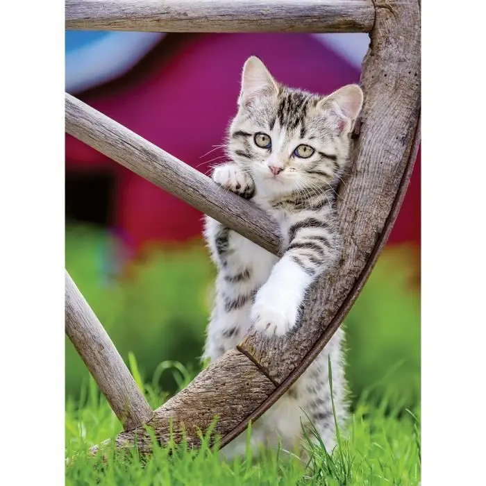 Kittens puzzle 2x500db-os termékfotó