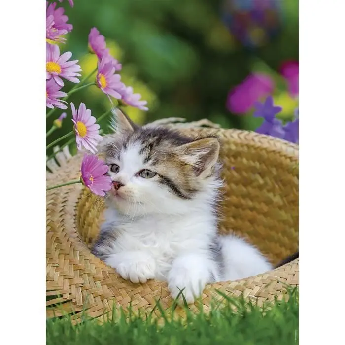 Kittens puzzle 2x500db-os termékfotó
