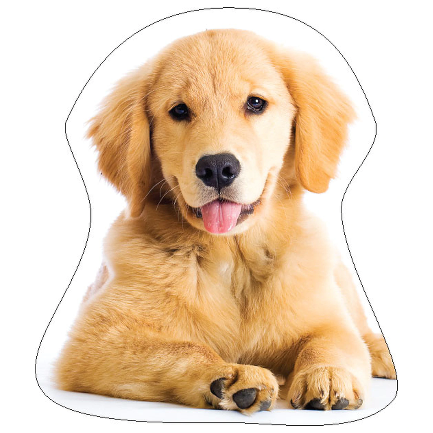 Kutyás Golden Retriver formapárna, díszpárna termékfotó