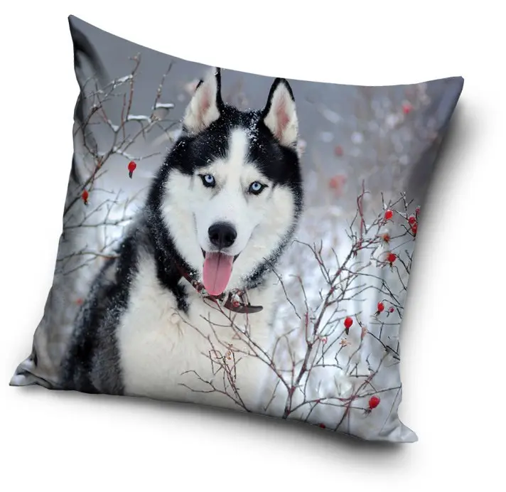 Kutyás párna, díszpárna 40*40 cm termékfotó