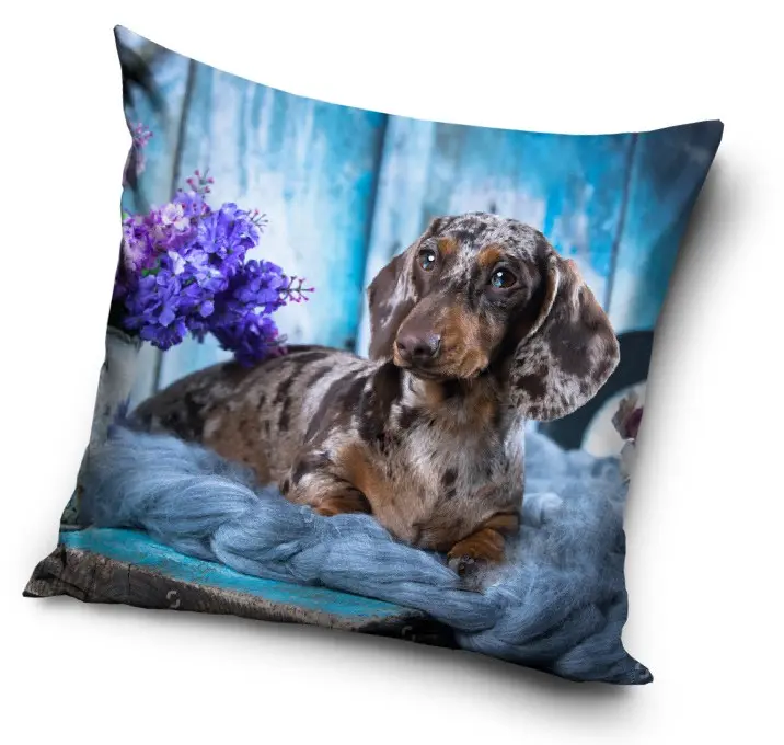 Kutyás párnahuzat 40*40 cm termékfotó