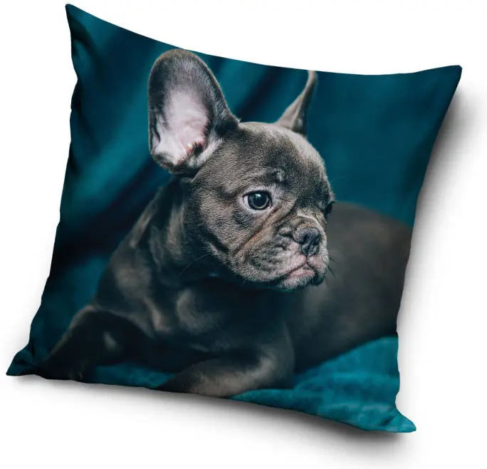 Kutyás párnahuzat 40*40 cm termékfotó