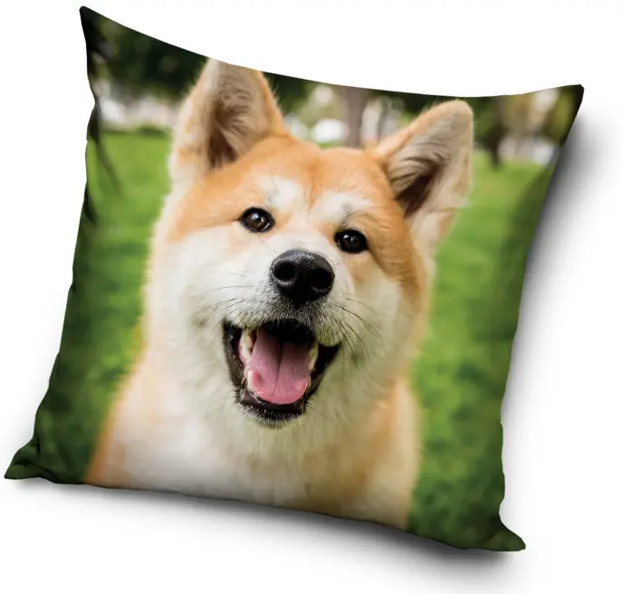 Kutyás párnahuzat 40*40 cm termékfotó