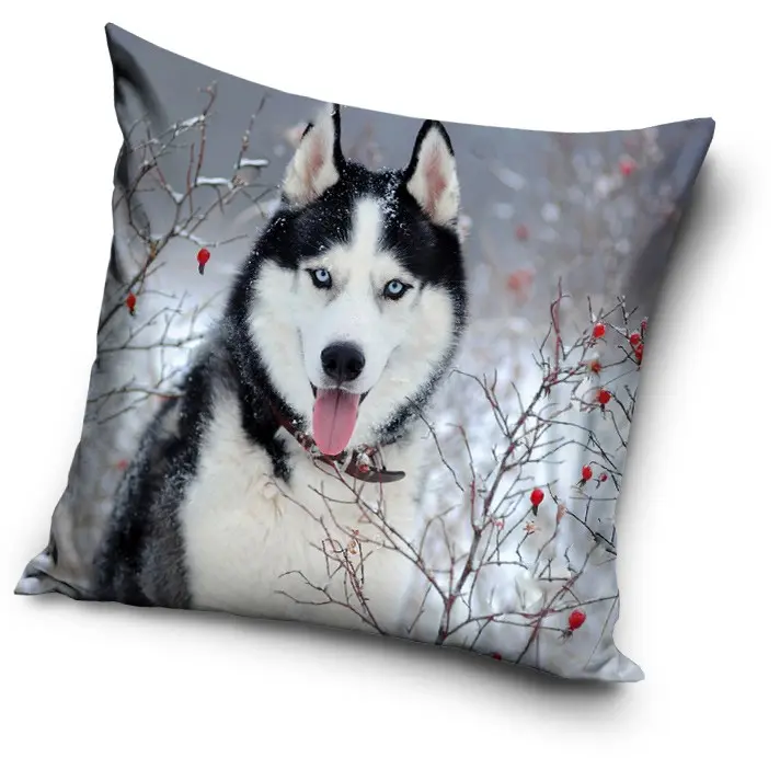 Kutyás párnahuzat 40*40 cm termékfotó