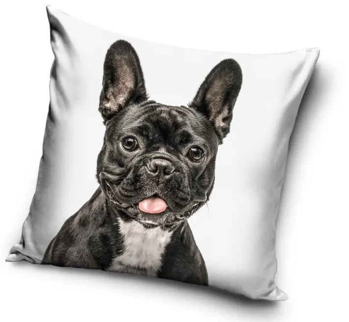 Kutyás párnahuzat 40*40 cm termékfotó